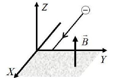 Ejes X, Y, Z; la zona sombreada es la región x > 0 del plano XY, con B vertical hacia arriba; la partícula negativa llega moviéndose en el sentido +X