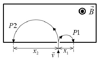 Las dos partículas entran hacia arriba por el mismo punto en un campo B saliente; P1 describe una semicircunferencia pequeña hacia la derecha (diámetro x1) y P2 una grande hacia la izquierda (diámetro x2)