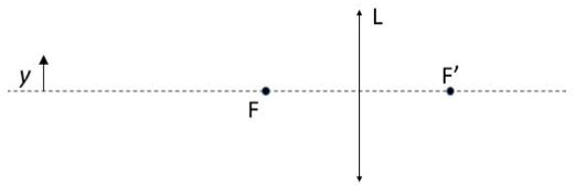 Lente convergente L con sus focos F y F'; el objeto y está a la izquierda de F, a algo más del doble de la distancia focal