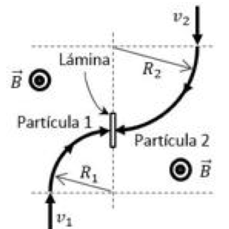 La partícula 1 entra por abajo con velocidad v1 hacia arriba y describe un cuarto de circunferencia de radio R1 hasta la cara izquierda de la lámina; la partícula 2 entra por arriba con v2 hacia abajo y describe un cuarto de circunferencia de radio R2 hasta la cara derecha; B sale del papel