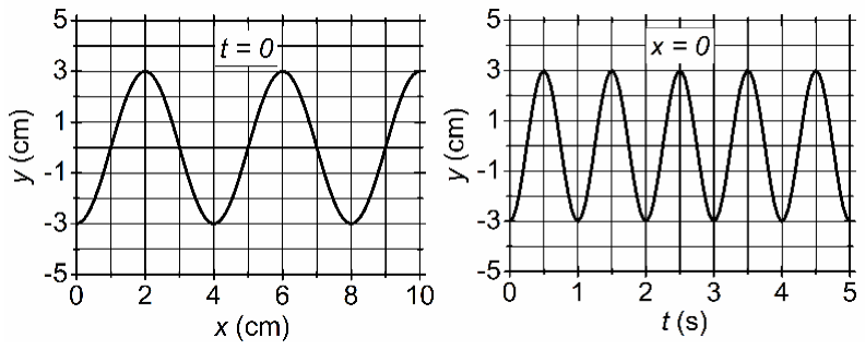Dos gráficas de la elongación y en cm. Izquierda, y frente a x (cm) en t = 0: senoide de amplitud 3 cm que vale −3 cm en x = 0, tiene máximos de 3 cm en x = 2, 6 y 10 cm y mínimos en x = 4 y 8 cm. Derecha, y frente a t (s) en x = 0: vale −3 cm en t = 0, tiene máximos en t = 0,5; 1,5; 2,5; 3,5 y 4,5 s y mínimos en t = 1, 2, 3, 4 y 5 s