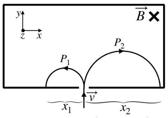 Espectrómetro: las partículas entran hacia arriba (+y); P1 describe una semicircunferencia hacia la izquierda de anchura x1 y P2 otra mayor hacia la derecha de anchura x2; B entra en la hoja