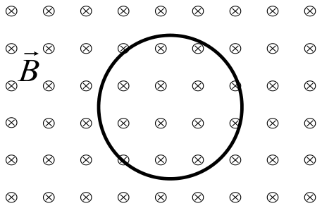 Espira circular dentro de un campo magnético uniforme B perpendicular al plano del papel y dirigido hacia dentro (aspas ⊗ por toda la región)
