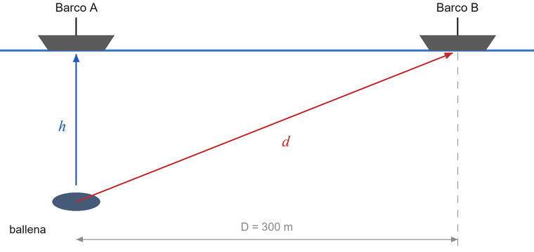 Esquema: la ballena a una profundidad h bajo el barco A; el barco B, en la superficie, a D = 300 m de A. El sonido llega a A recorriendo h en vertical y a B recorriendo la hipotenusa d